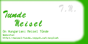 tunde meisel business card